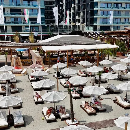 Vlady Magic By Daire