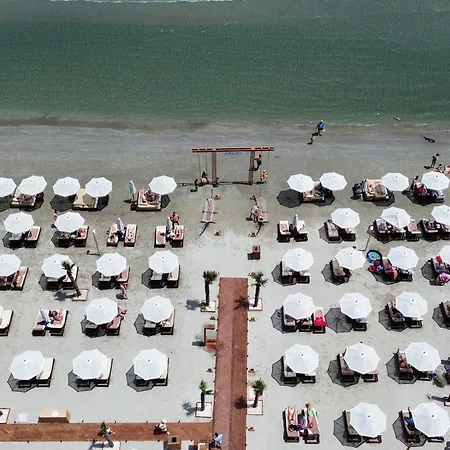 Daire Vlady Magic By